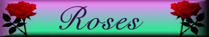 lg_but98roses.jpg (17199 bytes)