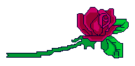 redrose1.gif (2003 bytes)